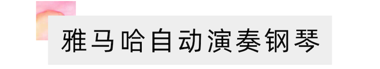 活动报道 | 远程艺术教育大师课活动—豪运国际艺术家吴晓大师课